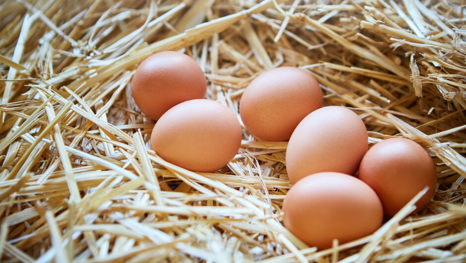 Как да избираме хуманно яйца за Великденската трапеза (СНИМКИ + ВИДЕО)