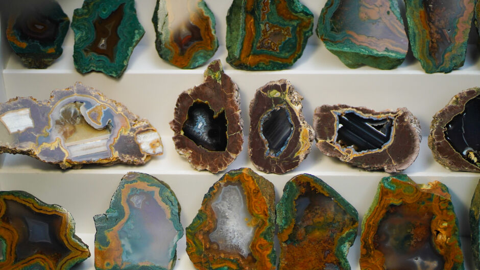 Цветовете на природата (ГАЛЕРИЯ)