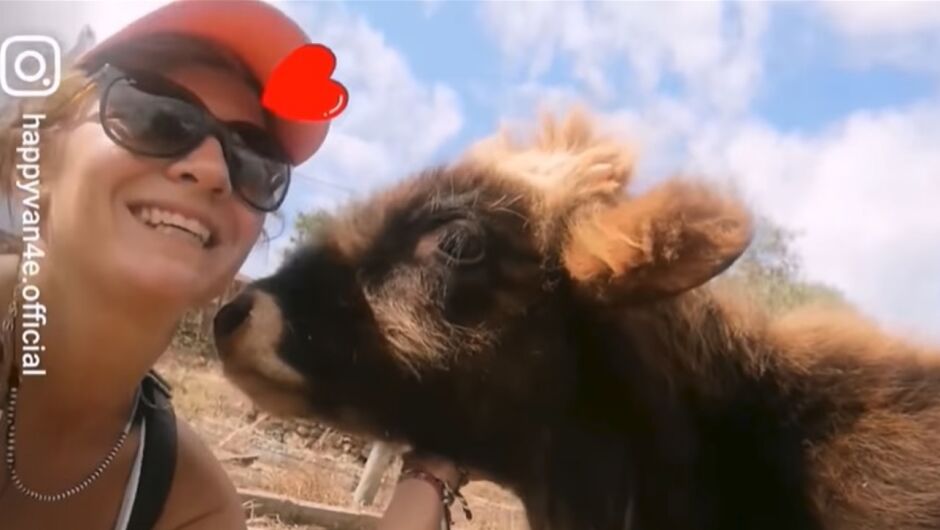 Хепи Ванче отново се срещна с теленцето Рошко от "Фермата" (ВИДЕО)