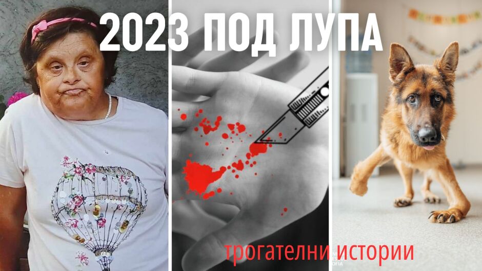 Историите на 2023, които стискат за гърлото: Синдом на Даун, заложници и разрези с макетно ножче 