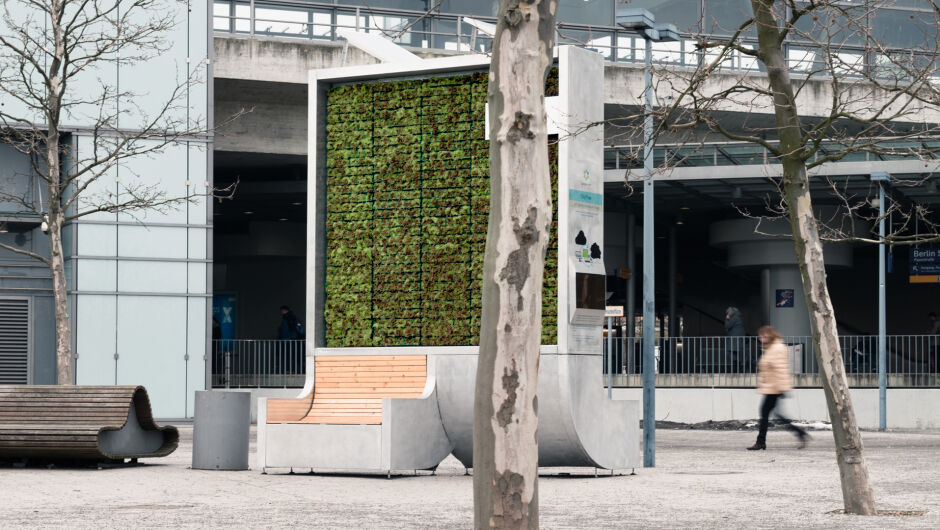 Тези градски "дървета" спасяват здравето от замърсения въздух (СНИМКИ)
