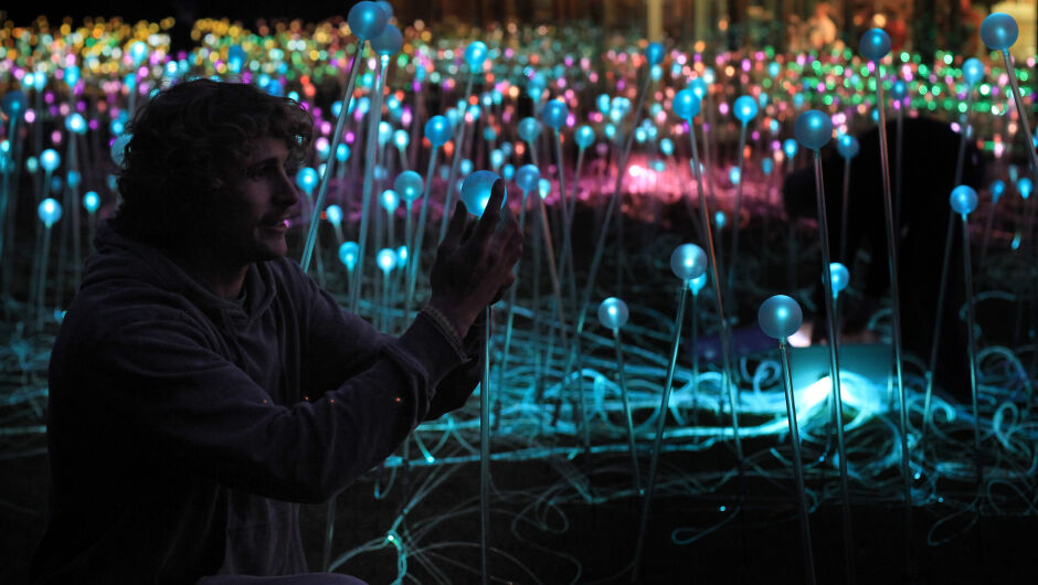 "Поле от светлина", арт инсталацията с 58 000 соларни лампи
