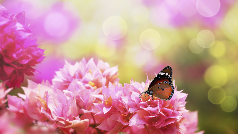 7 красиви и вдъхновяващи стиха за пролетта