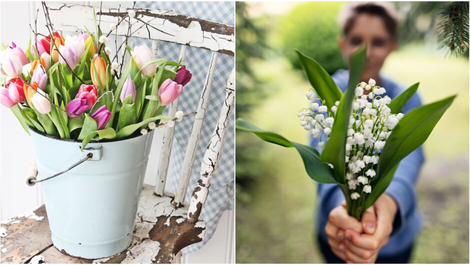 Красиви, но смъртоносни: Денят на лалето + 10 отровни цветя, за които не подозирате (СНИМКИ)