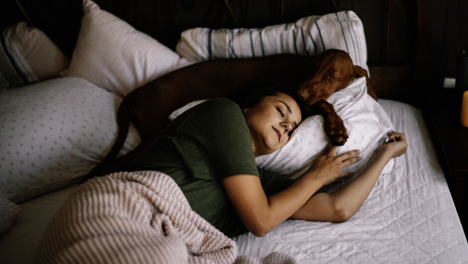 Защо жените спят по-добре до кучета, отколкото до котки? (АНКЕТА)