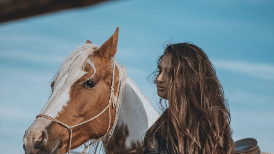 Да "говориш" езика на конете: Ралица и Айрис – приятелство без думи