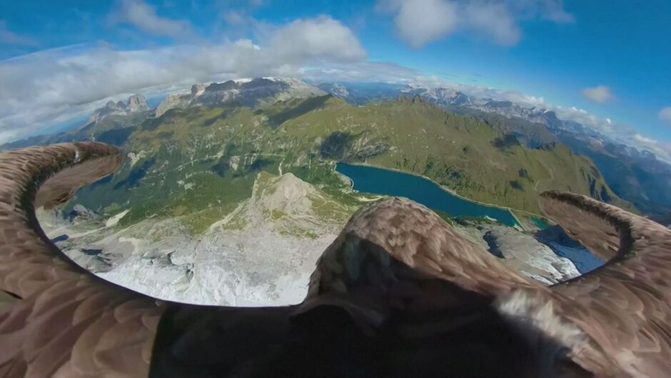 Орел, оборудван с камера, прелетя над Алпите, за да покаже пораженията от глобалното затопляне (ВИДЕО)