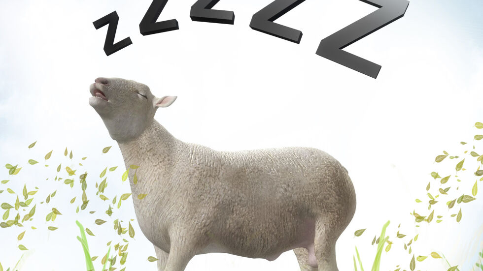Защо броим овце срещу безсъние?