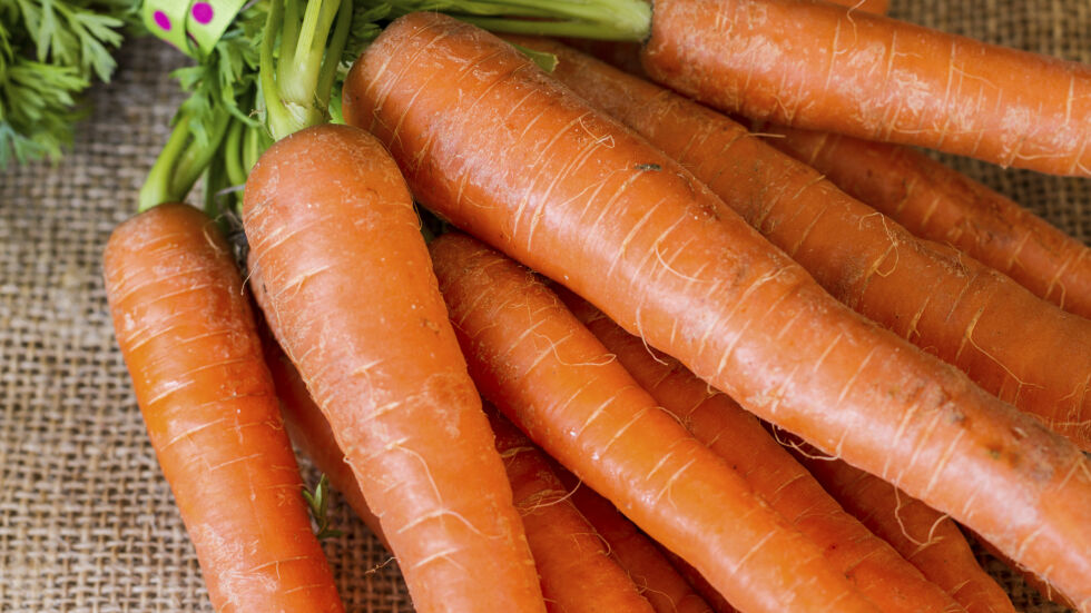 Неизброимите ползи от морковите