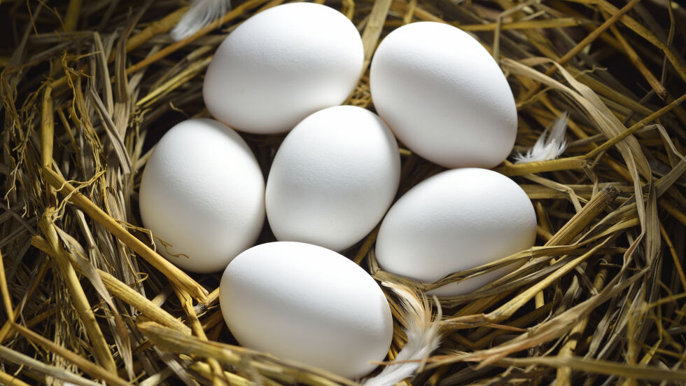 5 белега, по които да разпознаем прясното яйце