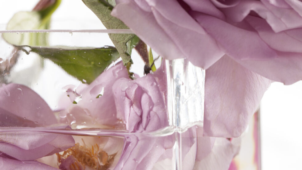 Розовата вода - от козметично средство до лековита напитка 