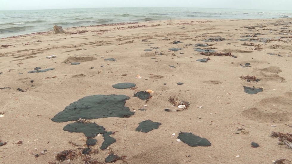 Замърсяване с мазут на плажа в Албена (ВИДЕО)