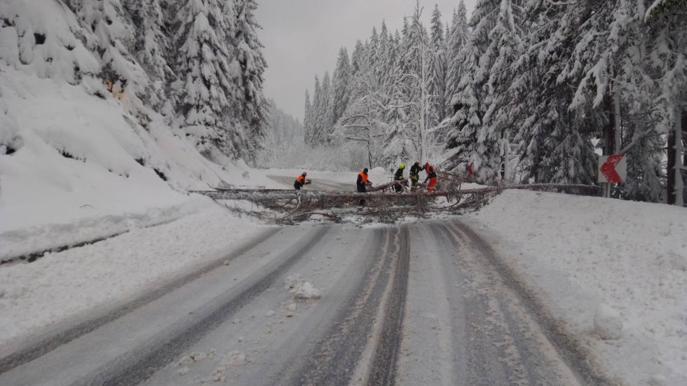 Обилен снеговалеж остави редица населени места без ток в Смолянско