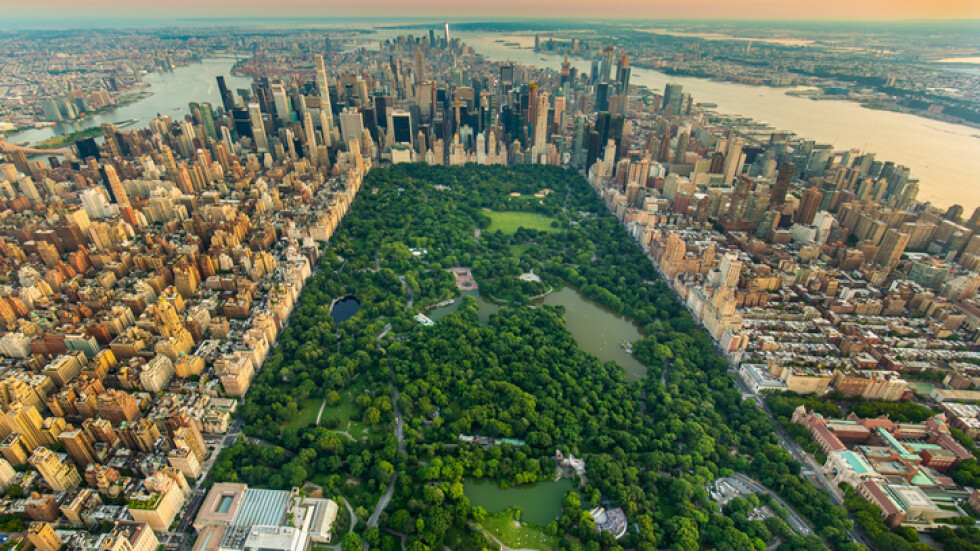 Крайна мярка: Ню Йорк може да използва паркове си за погребения на жертвите на COVID-19