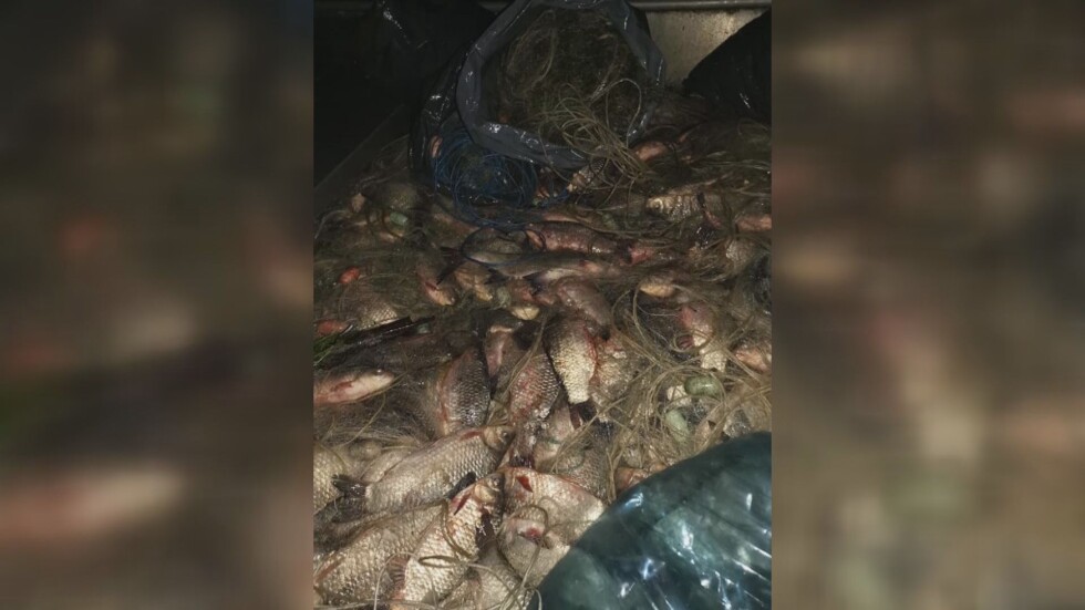 Бракониери по време на пандемия: В Бургаско конфискуваха над 8 км мрежи и тонове риба