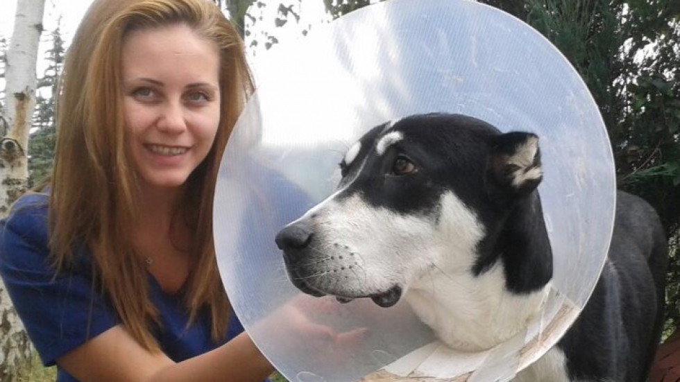 Ветеринарният лекар Тереза Лаловска: Не мийте животните си с дезинфектанти