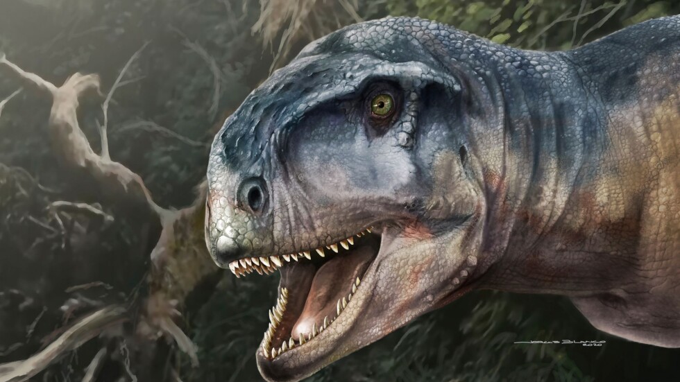 Учени откриха череп на хищен динозавър отпреди 85 млн. години