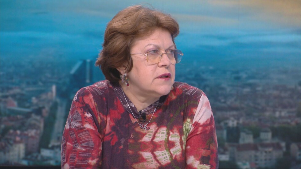Дончева: Няма контрол върху обработването на протоколите, възможни са манипулации