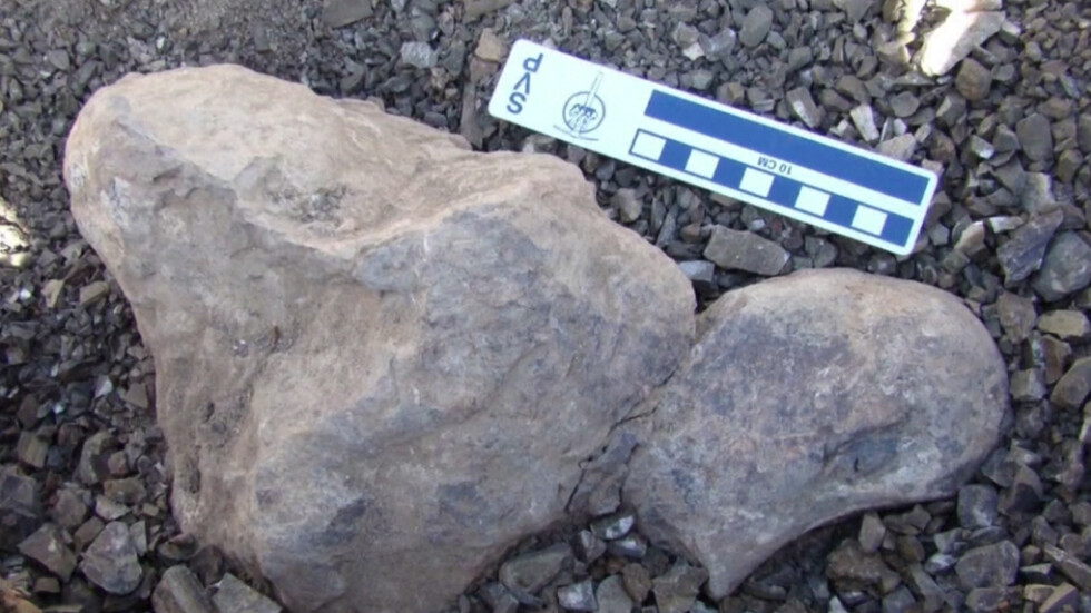 Учени откриха останки на динозавър в най-сухата пустиня в света