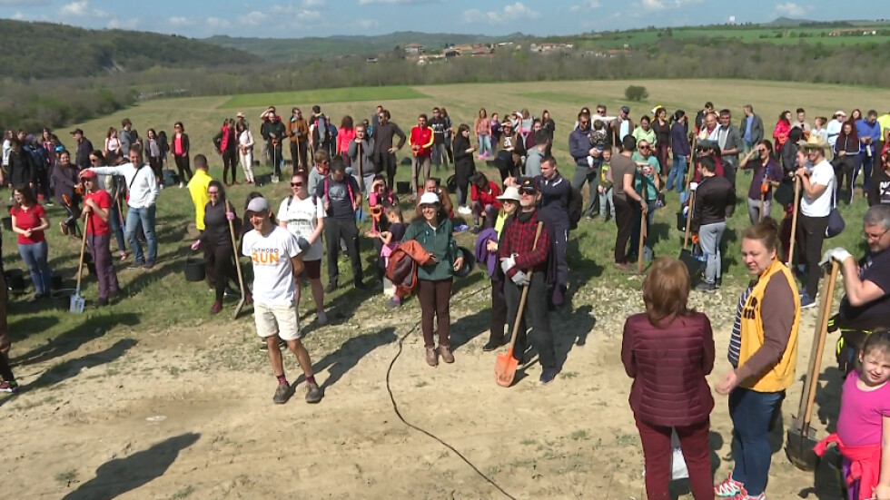 Стотици доброволци залесяват гора край Велико Търново