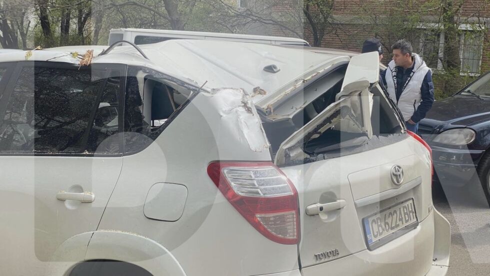 Дърво падна върху кола в София, едва не уби дете (СНИМКИ)