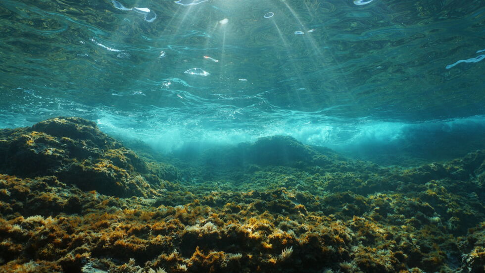 Дълбоководният добив е жизненоважен за климата, но смъртоносен за океаните