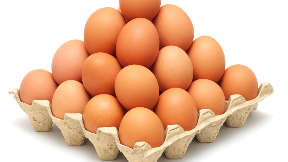 Само 5% от вас ще познаят колко яйца има на снимката