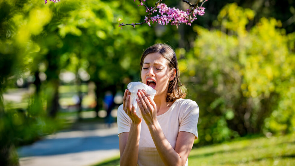 Пролетта и алергията: Кои са 5-те най-често срещани сезонни алергии?