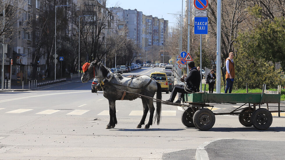 Каруца с кон блъсна жена в Севлиево, с опасност за живота е