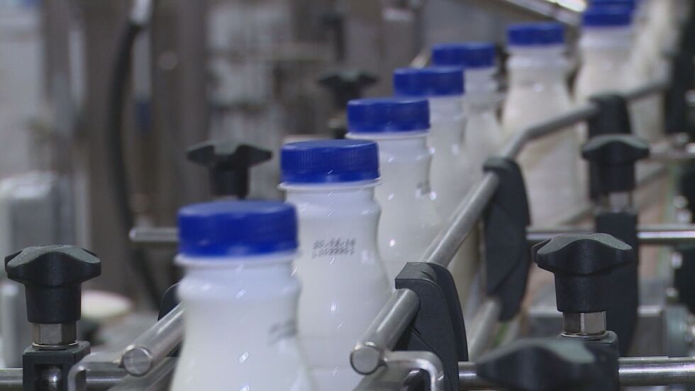 Нов продукт на пазара: Какви са изискванията за свежото прясно мляко?