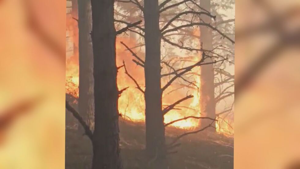 Над 500 декара гора са унищожени при два големи пожара край Копривщица (ВИДЕО)