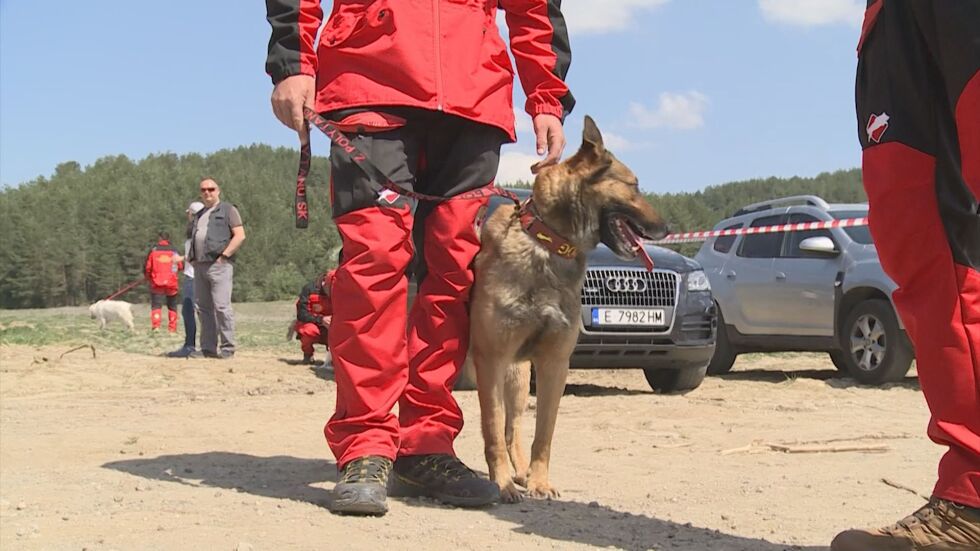 Откриха полигон за обучение на спасителни кучета в Разлог