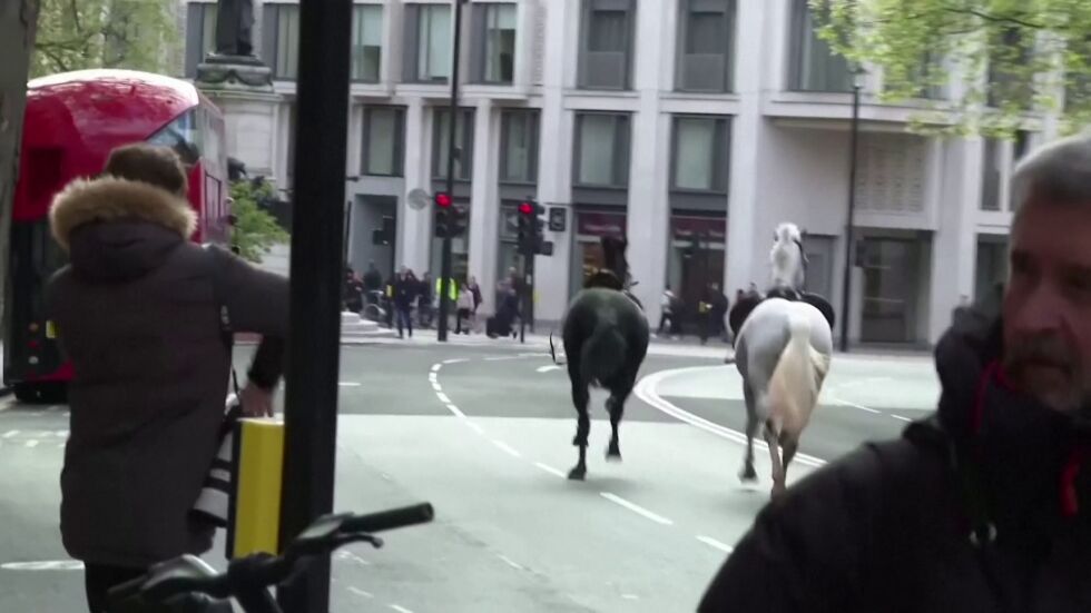  След хаоса в центъра на Лондон: Заловиха и петте коня, избягали от кралската конница 