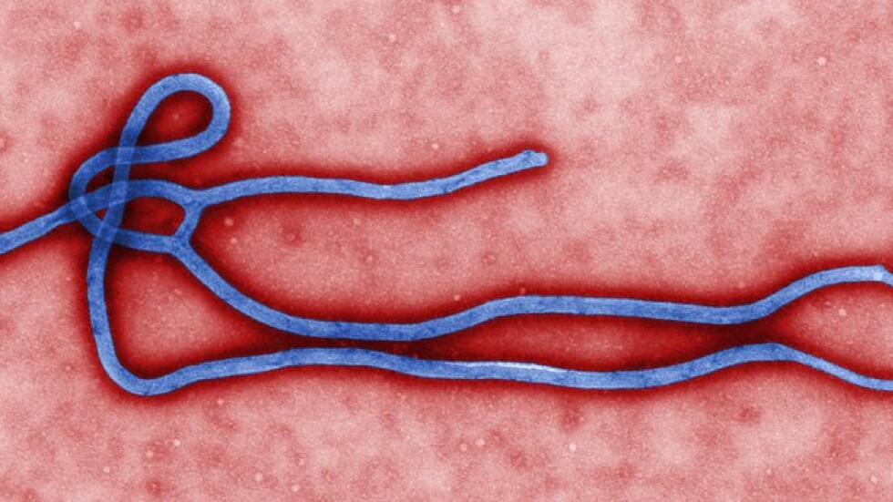 По-малко от 1% вероятност за ебола у нас