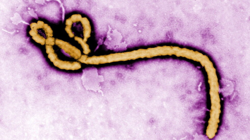 Българин със съмнения за ебола в столицата (ОБОБЩЕНИЕ)