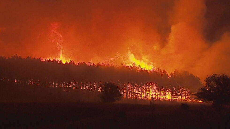 75% от пожарите през лятото са по човешка вина