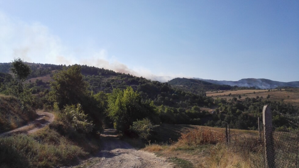 Пожар край село Фролош обхвана и иглолистна гора (СНИМКИ)