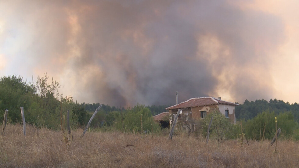 Трима души са задържани за горския пожар край Тополовград