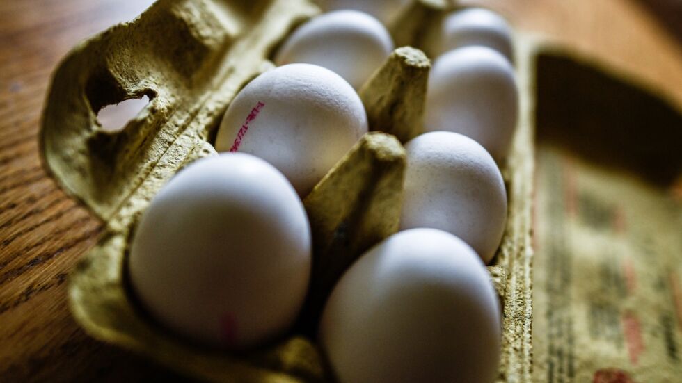 Изтеглят от пазара 1 милион яйца заради птичи грип