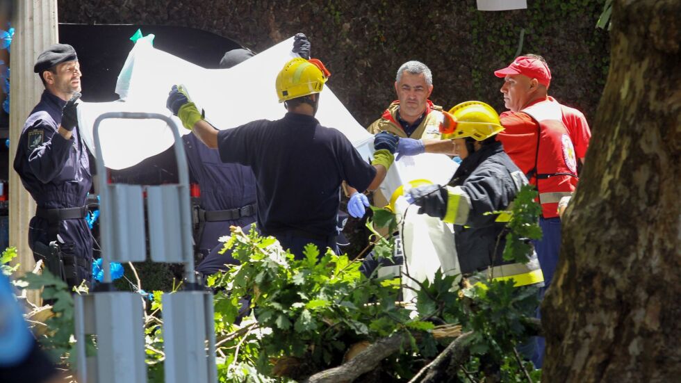Паднало дърво уби 13 души в Португалия