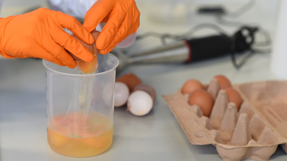 БАБХ откри втора партида от половин тон яйчен прах с фипронил у нас