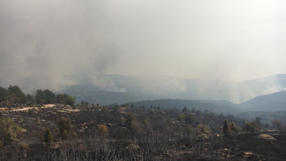 Пожарът в Пирин още не е потушен, над 100 души бяха евакуирани