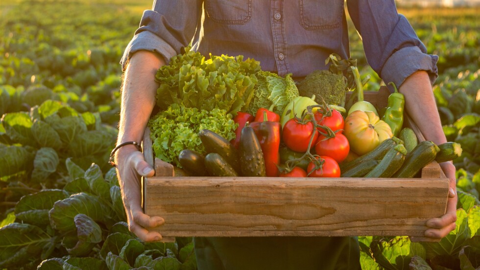 БАБХ спря вноса на над 20 т зеленчуци с пестициди