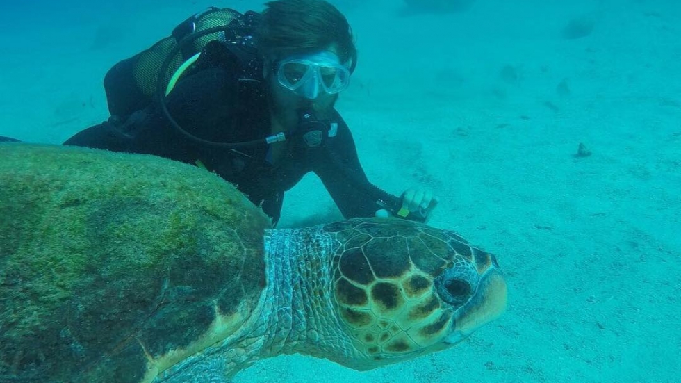 Красив и с голямо сърце: Къванч Татлъту спаси 64 бебета костенурки от застрашен вид