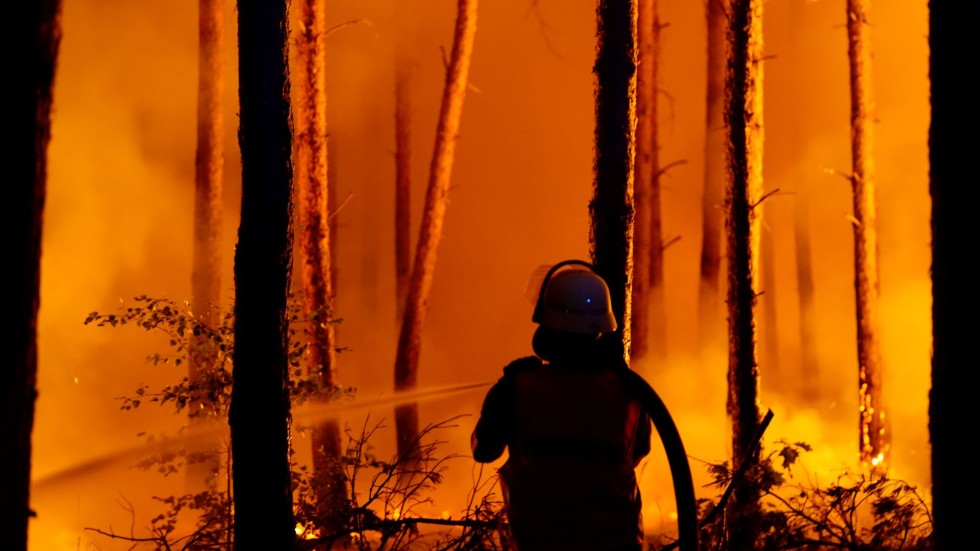 Извънредно положение в Австралия заради горските пожари