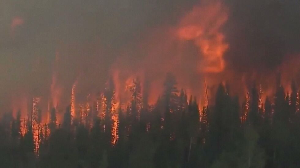 Над 40 хиляди квадратни километра гори в Сибир са в пламъци