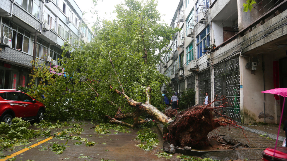 28 вече са жертвите на тайфуна „Лекима”, ударил Източен Китай (СНИМКИ И ВИДЕО)