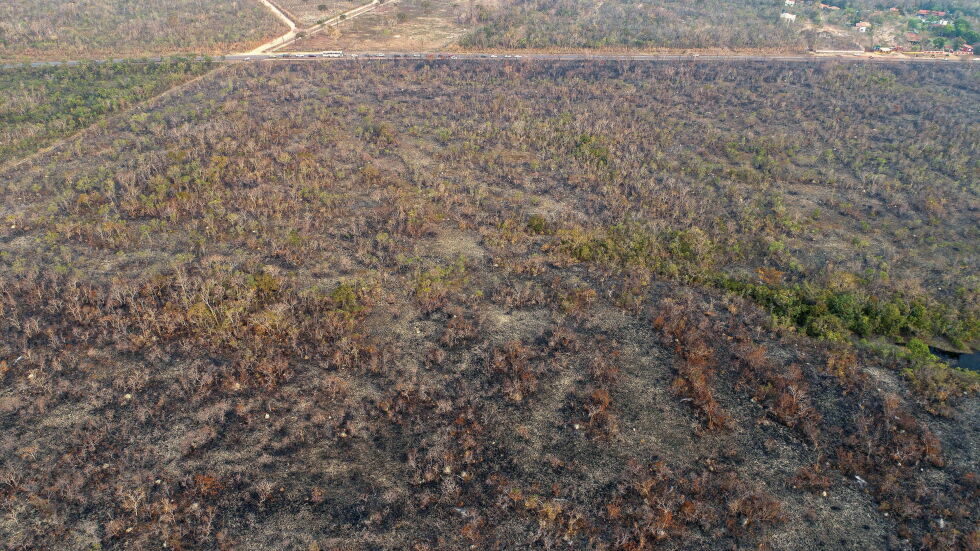 Бразилия няма ресурс да се справи с пожарите в Амазония, призна президентът 