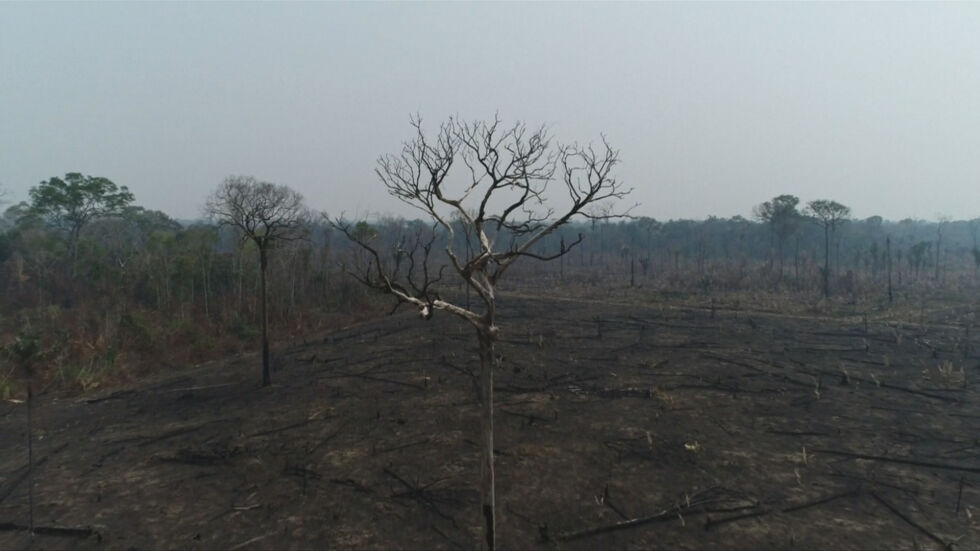 Бразилия обяви, че пожарите в Амазония са под контрол