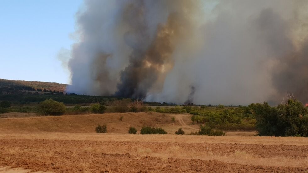 Пожар избухна в гора между новозагорските села Еленово и Сокол (ВИДЕО)